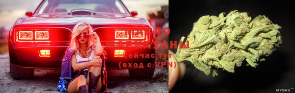 эйфоретик Аркадак