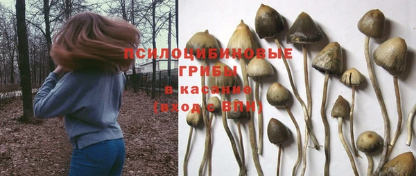 эйфоретик Баксан