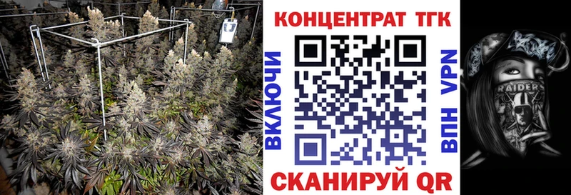наркотики  Грайворон  Дистиллят ТГК вейп с тгк 