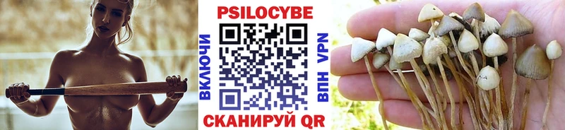 Псилоцибиновые грибы GOLDEN TEACHER  Грайворон 